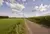 Landschaft mit einer asphaltierten Landstraße, umgeben von grünen Wiesen und einem Maisfeld im Bildhintergrund, unter einem blauen Himmel mit weißen Federwolken.